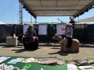Natural Hazard Mitigation Survey and Booth at the 2024 Linn County Fair
